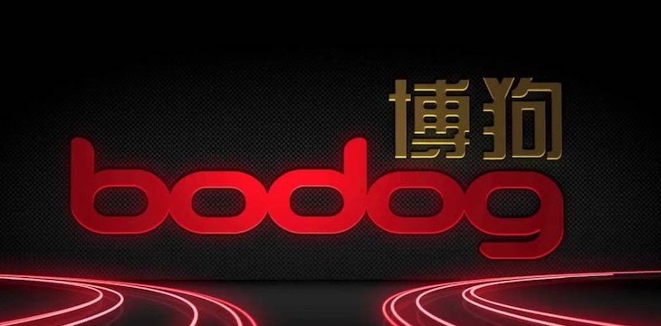 bodog poker is now