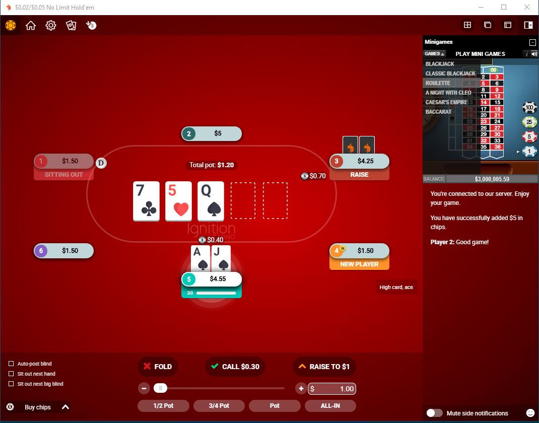 ignition poker review