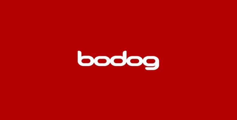 How to Use Bodog Poker Online